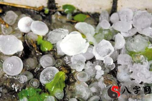 梦到下雨下冰雹