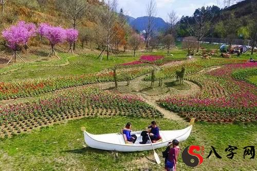 梦到和喜爱的人赏花