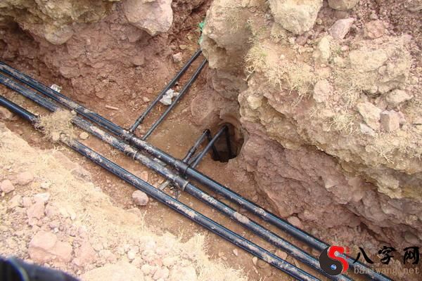 梦到在坟上打井