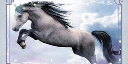 1978年属马 44 岁运势