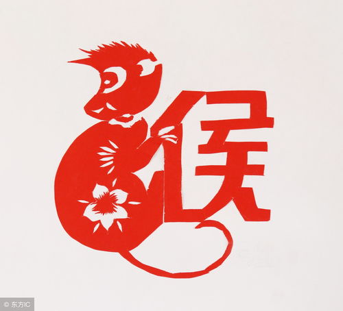 属猴的一辈子有几个子女