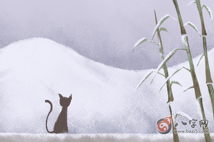 日柱查询 甲戊日柱女命如何