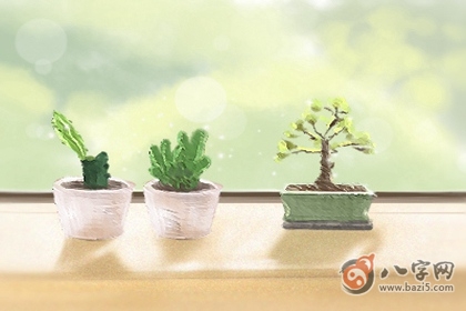 日柱查询 癸酉日柱男命如何