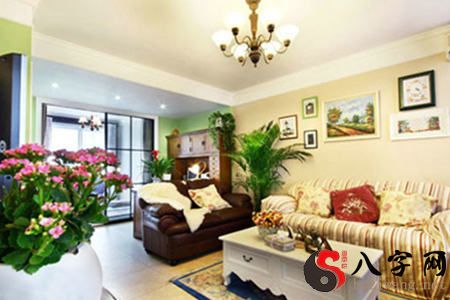 客厅的风水植物有什么